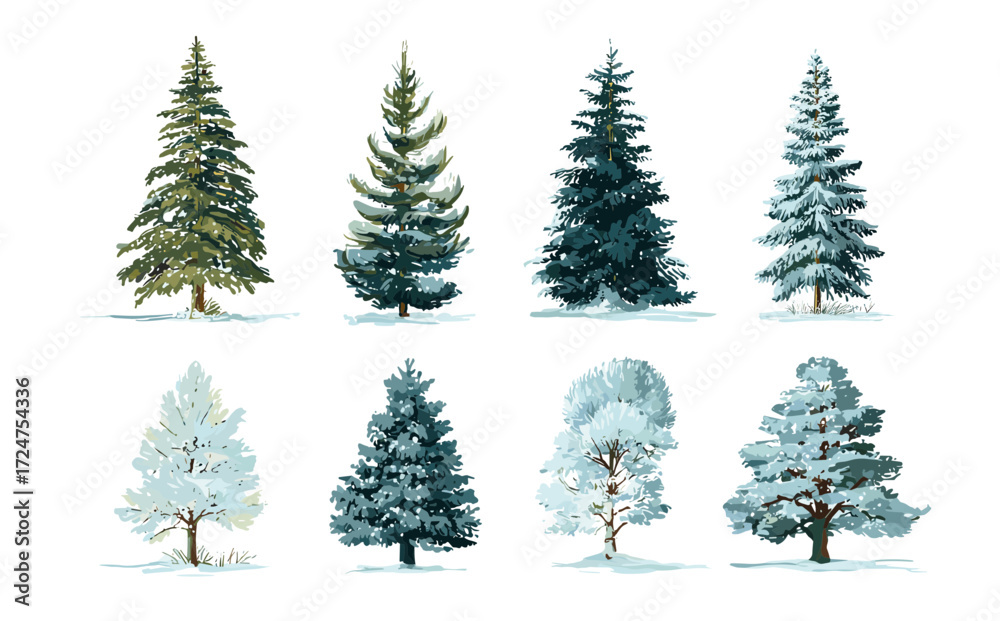 Obraz premium Eight different evergreen trees are illustrated, some covered in snow, set against a white background.