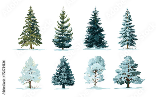 Eight different evergreen trees are illustrated, some covered in snow, set against a white background.