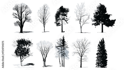 A collection of ten different tree silhouettes in black and white, showcasing various shapes, sizes, and foliage densities against a clean white background.