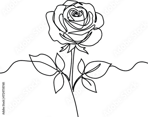 Rose minimalist one line drawing Rose bloom sketched in continuous line art symbolizing love beauty and romance