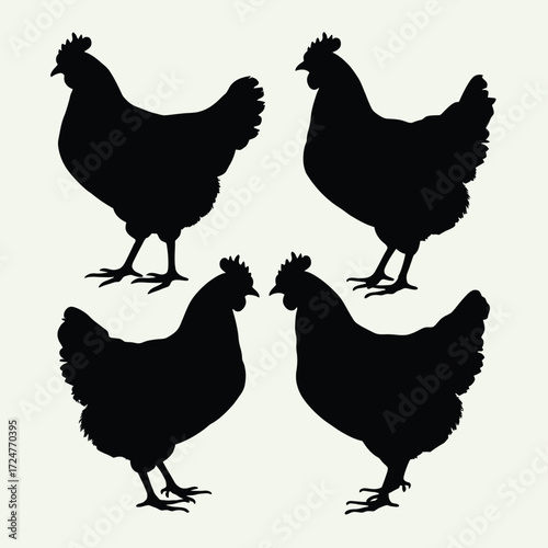 Scalable vector illustration of four black chicken silhouettes for download eps files vector