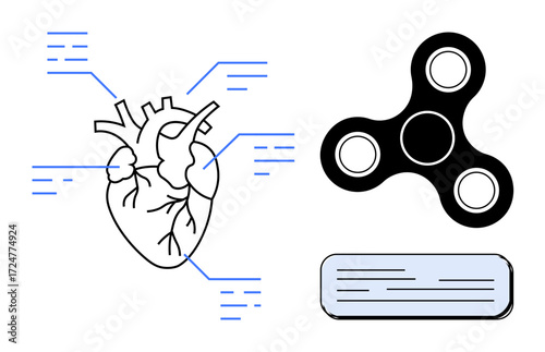 Anatomical heart with labeled parts, fidget spinner symbolizing play and focus, and text block. Ideal for education, biology, study, science, health communication and conceptual play. Simple flat