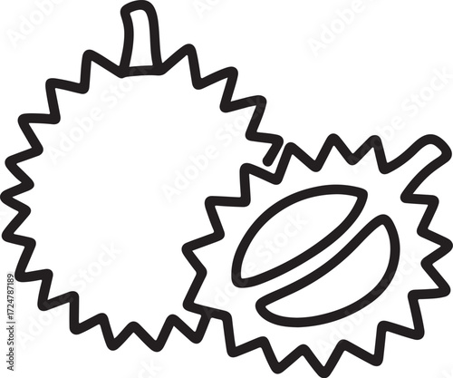Outline drawing of two spiky durian fruits one cut open showing segments