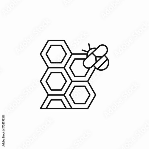 bee on honeycomb icon sign vector