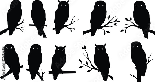 Black owl silhouettes perched on branches, wildlife vector illustration, nocturnal birds, spooky forest animals, Halloween theme, nature clipart design