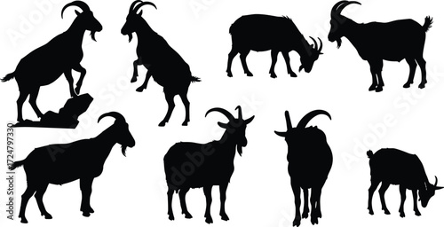 Goat silhouette, grazing pose, climbing goat, standing posture, farm animal, nature icon, livestock behavior, horn detail, rural life, black illustration