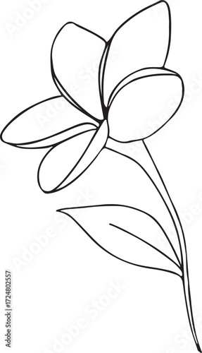 Simple plumeria flower outline with five petals in black and white