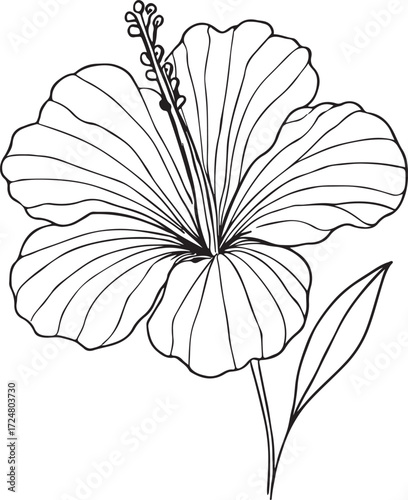 hibiscus line art silhouette vector illustration