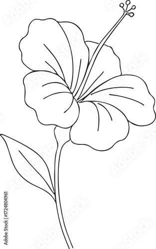 hibiscus line art silhouette vector illustration