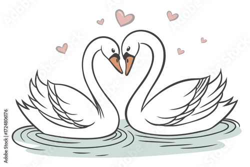 swans on the water