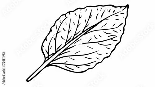 Illustration of a single leaf with detailed veins and a jagged edge on a white background space available created with generated ai 