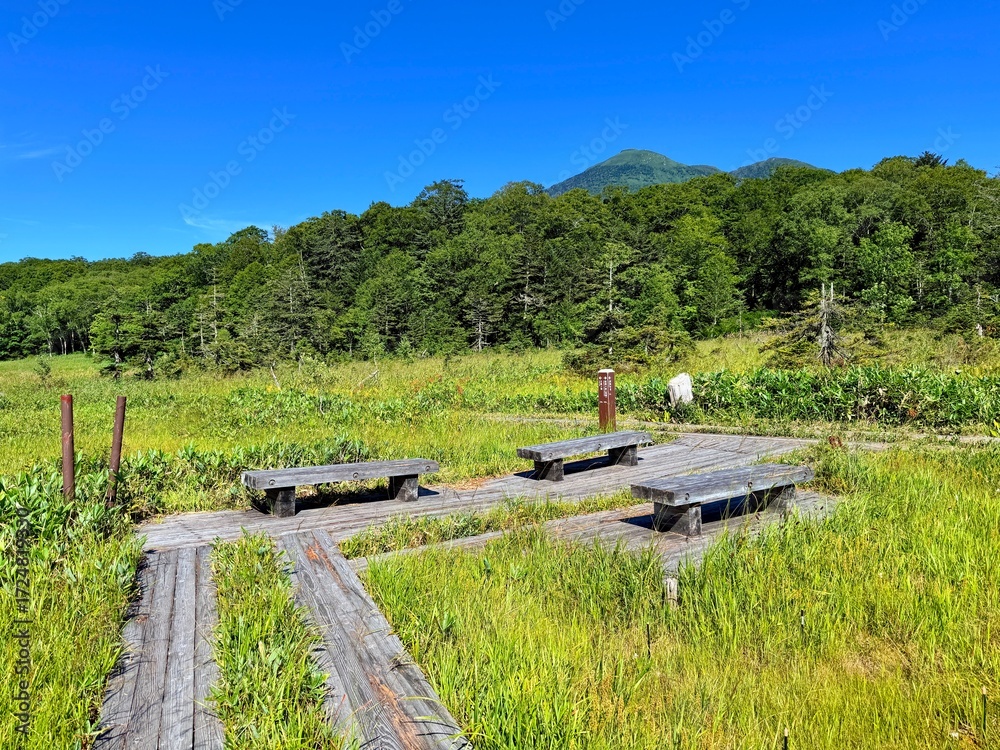 Obraz premium Ozegahara Wetland and Wooden Boardwalk, Oze National Park, Gunma, Japan