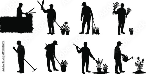 Silhouette gardeners working with plants, watering flowers, trimming hedges, planting pots, gardening tools, agriculture, horticulture, landscape maintenance and garden care illustration.