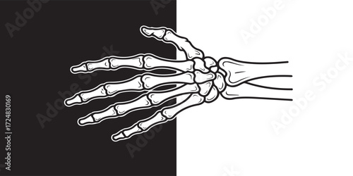 High quality illustration of a human skeleton hand, designed with sharp outlines and minimal shading