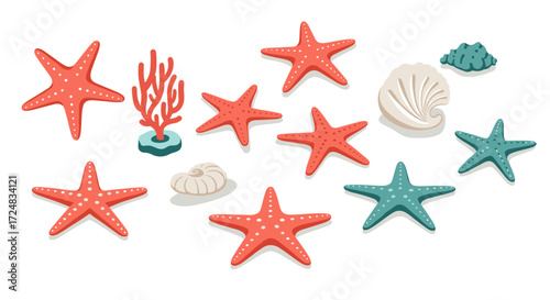 Colorful beach elements with starfish, shells, and coral on white background