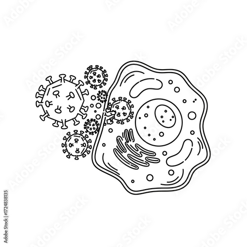 Microscopic view of viruses attacking a human cell, illustrating the concept of infection and disease in a scientific context