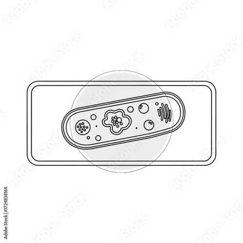 Outline icon of a microorganism specimen on a laboratory glass slide, representing microbiology and scientific research