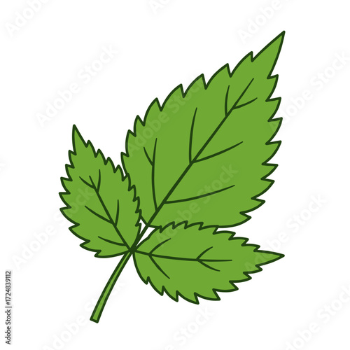 Icon of a nettle sprig with vibrant green leaves in a detailed design