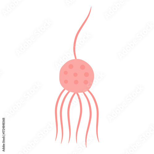 Chytridiomycota Fungi