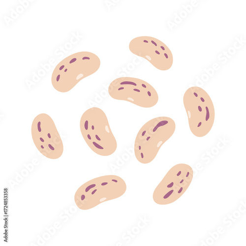 Pinto Beans Illustration