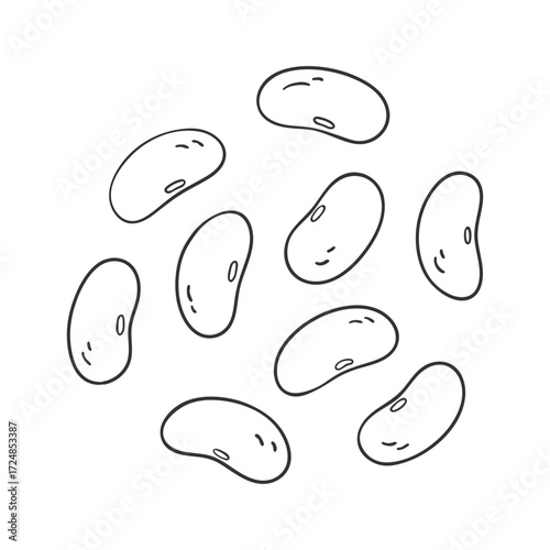 Hand-Drawn Kidney Beans. Beans Line Art.