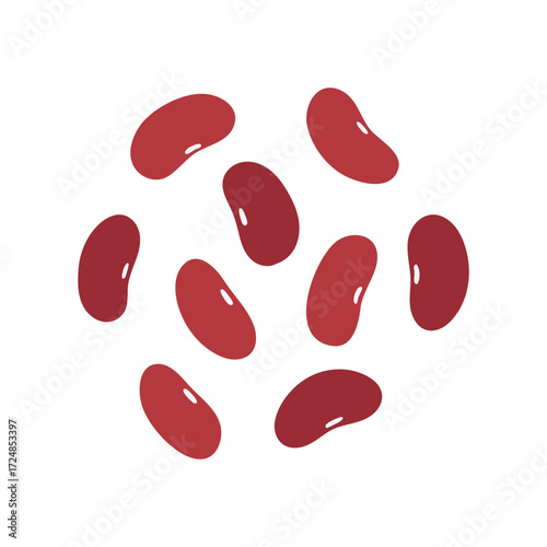 Kidney Beans Illustration
