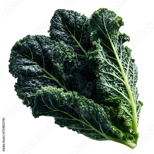 Fresh vibrant black kale leaf isolated on white, healthy eating, organic food, superfood concept.
