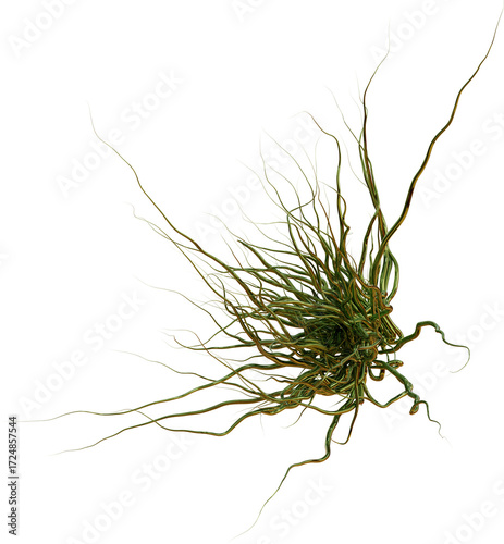 3D Organic nature morphing shape, creative graphic abstract form isolated clipart. Render of geometric biotechnology scientific illustration