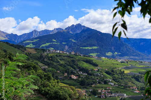 Panorama with castle Schloss Brunnenburg, vineyards, village Tirol (Dorf Tirol) and mountain summit Ifinger in South Tyrol, Italy
