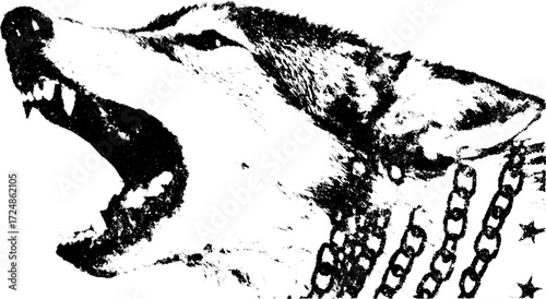 Wolf illustration roaring with chains. Bold black and white vector design featuring an aggressive animal portrait with a textured outline.
