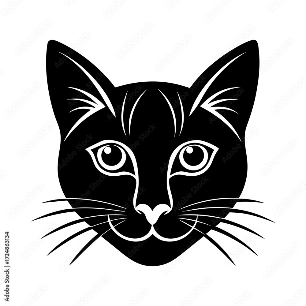 Obraz premium black and white cat