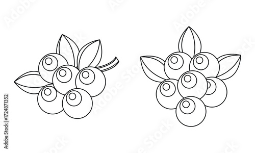 Acai Line Art Drawing – Simple Outline of Acai Berries with Leaves