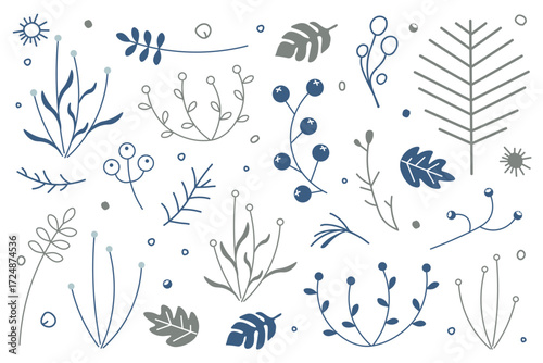 Set of plants, twigs with berries, leaves and  tree. Collection of icons isolated on  white background.  For winter illustrations. Decoration for postcards, posters, business cards and invitations.