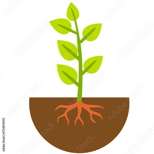 2d illustration of a green plant with visible roots in soil, symbolizing biology, growth, nature, ecology, sustainability, environment, and life.
