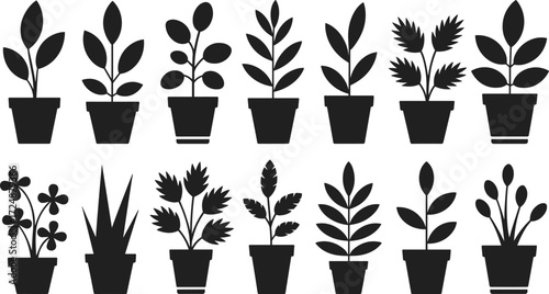 Potted houseplants collection, indoor plant silhouette set, decorative leaves and flowers, gardening illustration, cad drawing flat vector illustration