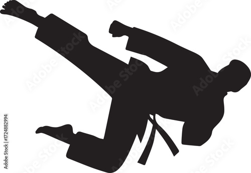 Dynamic martial arts silhouette dynamic side kick action martial artist combat athlete