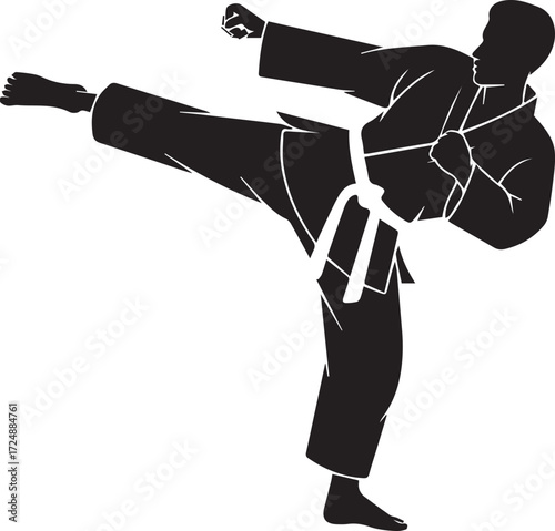 Martial arts silhouette of athlete performing dynamic high side kick in karate gi with white belt