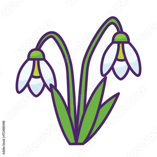 Spring snowdrop flowers with green stems and leaves