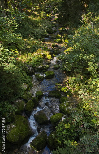 Creek at waterfall trail over Lofer, Austria, Europe 
