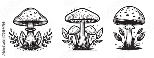 Mushroom At The Base Icons - Black Vector Illustrations Isolated On White Background