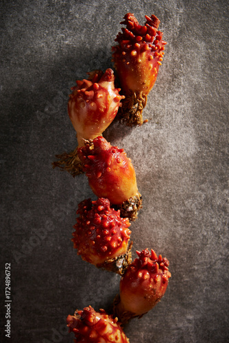 Billede på lærred Sea squirt, seafood on a stone plate