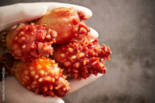 Konstfotografi Fresh sea squirt in hand