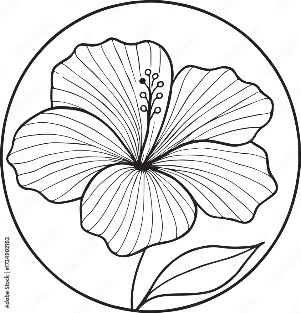 Fototapeta premium hibiscus line art silhouette vector illustration
