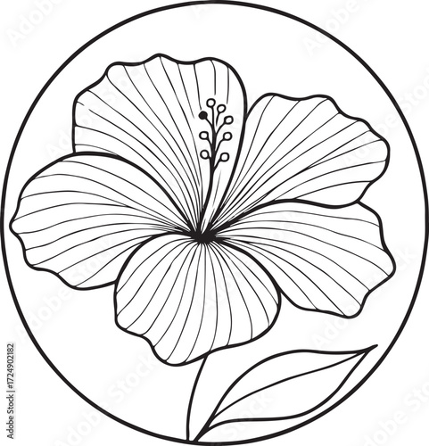 hibiscus line art silhouette vector illustration