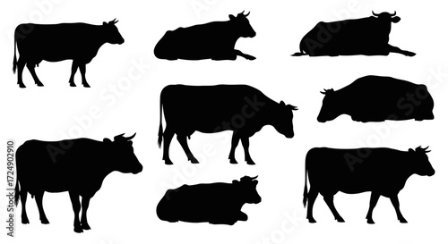 A collection of eight black cow silhouettes in various poses, including standing and lying down, isolated on a white background.