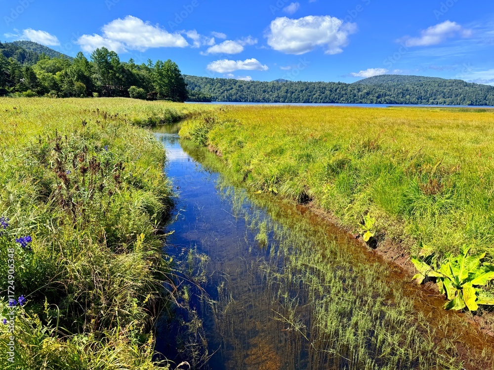 Fototapeta premium Ozenuma Lake and Ozegahara Wetland in Oze National Park, Gunma, Japan