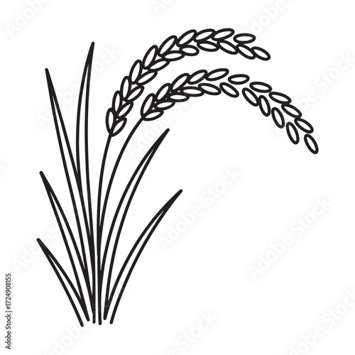 Elegant Rice Plant Illustration Showcasing Grain Stalks and Blades with a Clean Line Art Style Depicting Agricultural Harvest and Simple Botanical Design