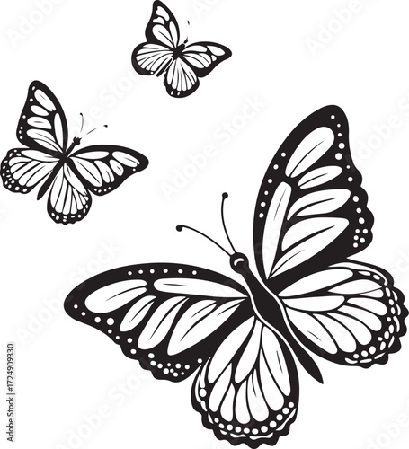 Three Black and White Butterflies in Flight butterfly