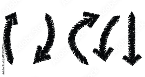 black and white feathers
