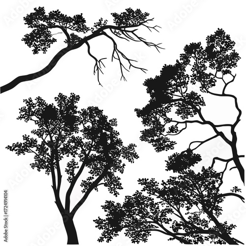 A collection of detailed black tree silhouettes with intricate branches and dense foliage against a clean white background showcasing natural organic shapes and textures